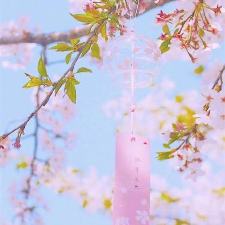 下司泰弘 - 恐怖电影无删减在线观看 - 平板直播